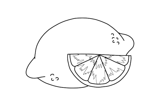 Vecteur lemon illustration dessinée à la main dessins de fruits illustration vectorielle isolée sur fond blanc