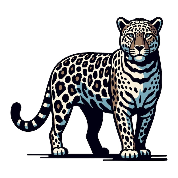 Vecteur le léopard jaguar sauvage illustration vectorielle du corps entier illustration zoologique prédateur animal