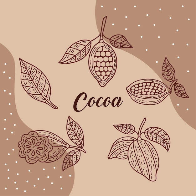 Lettrage De Cacao Avec Graines