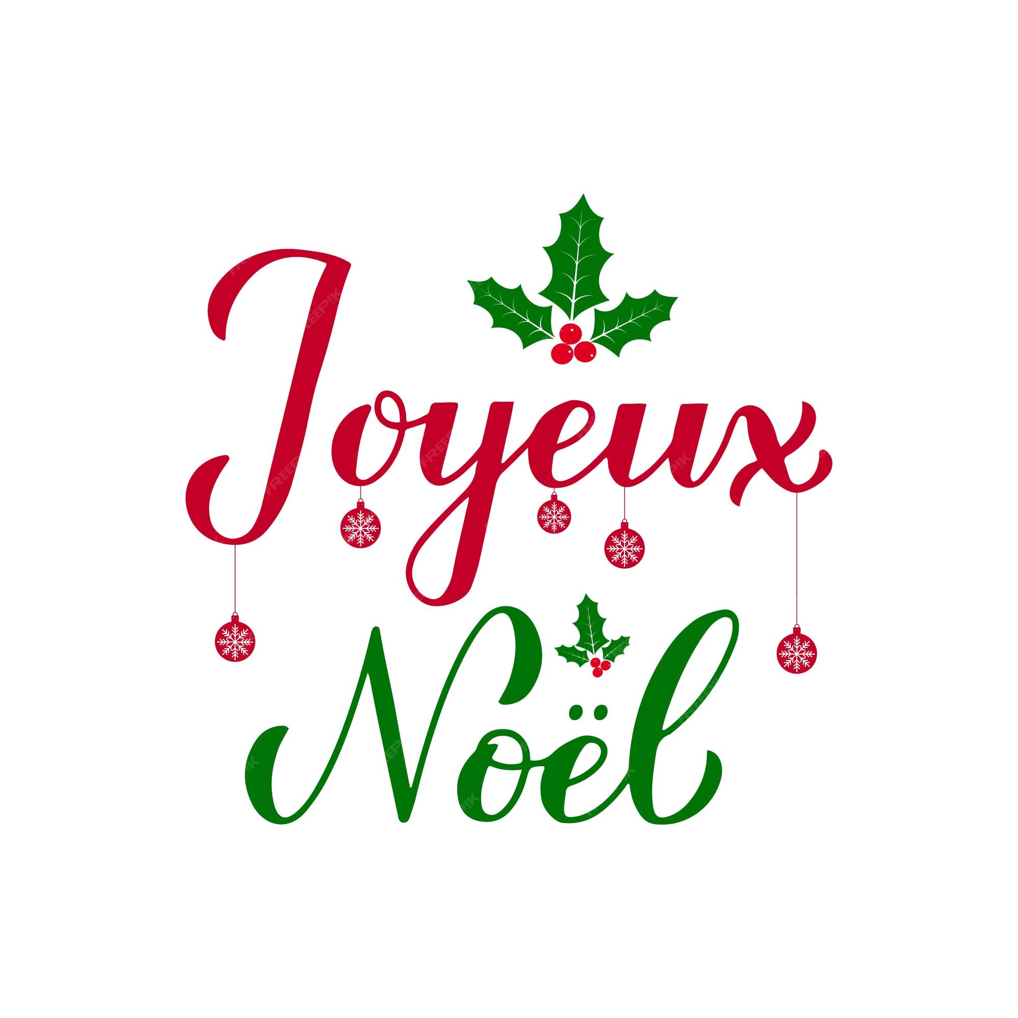 Lettrage à la main de calligraphie Joyeux Noel avec gui de baies de