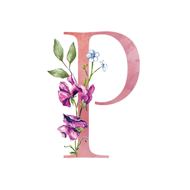 Lettre d'alphabet floral avec bouquet botanique Wedding aquarelle invitations peintes à la main marguerites pois sucrés herbes fleurs de prairie carte de vœux affiche de logo d'anniversaire