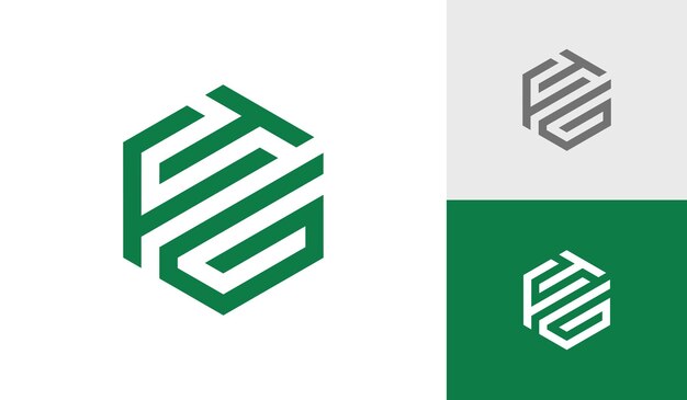 Lettre FTG vecteur de conception de logo monogramme hexagonal initial
