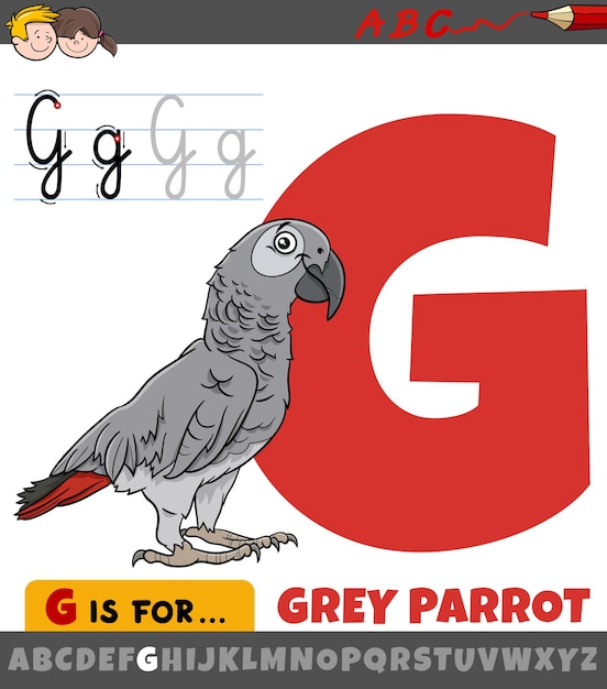 Lettre G De L'alphabet Avec Le Caractère Animal Oiseau Perroquet Gris De Dessin Animé