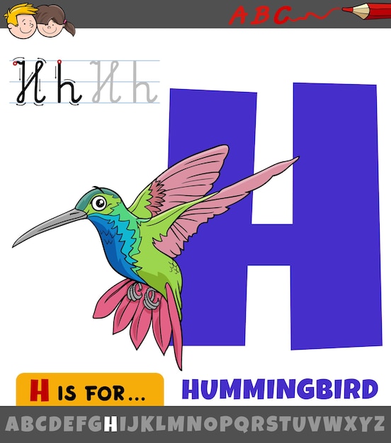 Lettre H De L'alphabet Avec Personnage Animal Oiseau Colibri