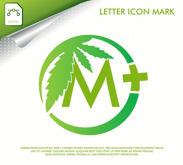 Lettre M avec création de logo vectoriel feuille de cannabis vert