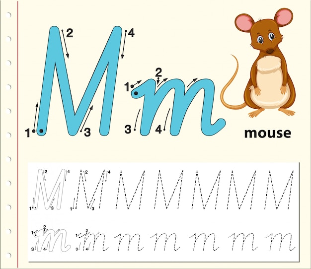 Vecteur lettre m traçant des feuilles d'alphabet