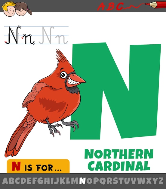 Lettre N De L'alphabet Avec Caractère Animal Oiseau Cardinal Du Nord