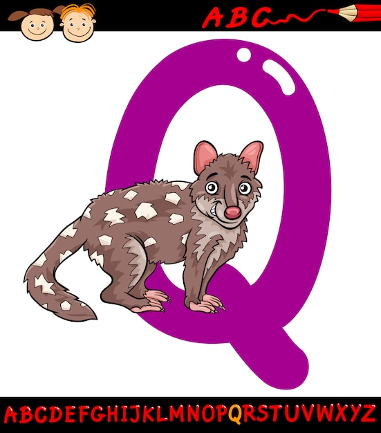 Lettre Q Pour Illustration De Dessin Animé De Quoll