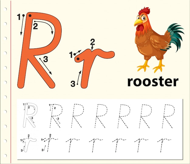 Lettre R traçant des feuilles d'alphabet