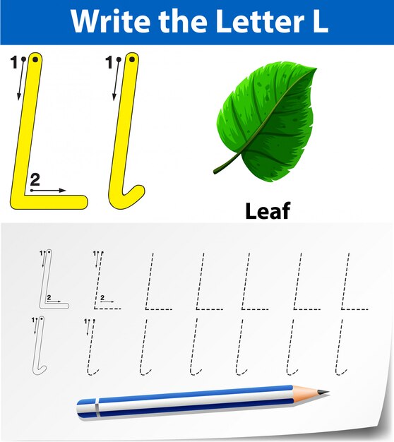 Vecteur lettre l traçant les feuilles de l'alphabet