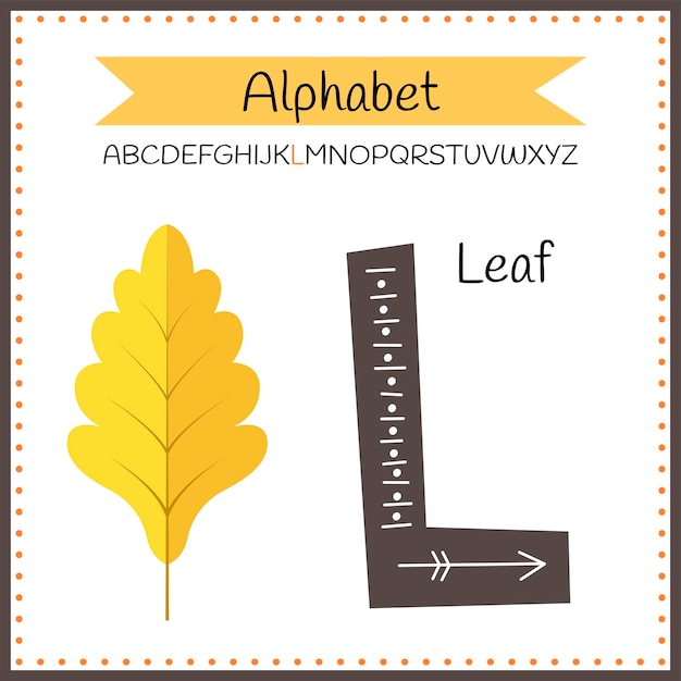 Lettres De L'alphabet Anglais Majuscule Sur Fond Blanc Lettre L Vector Illustration