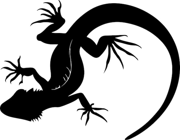 Vecteur lézard vecteur silhouette illustration couleur noire