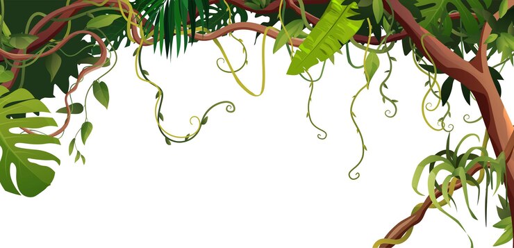 Vecteur lianes de dessin animé ou branches sinueuses de vigne sur fond blanc