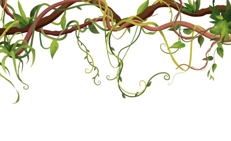 Lianes de dessin animé ou branches sinueuses de vigne sur fond blanc