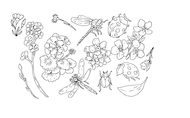 Libellule Coléoptère Coccinelle Insectes Et Fleurs Géranium Et Myosotis Beau Printemps Clipart