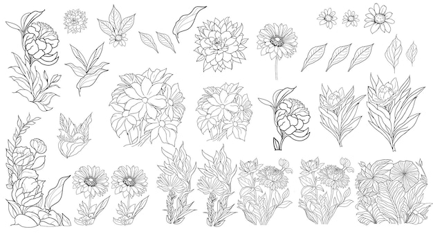 ligne de dessin ensemble floral pour coloriage