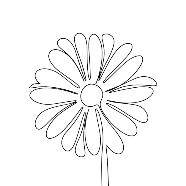 Une Ligne Fleur Continue Vecteur Dessiné à La Main De Camomille Isolé Sur Fond Blanc Dessin Au Trait Ve