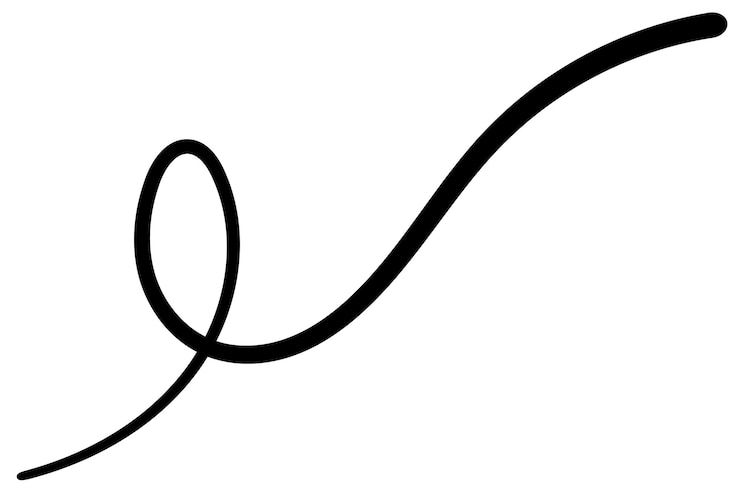 Vecteur ligne noire dessinée à la main et courbe ou vague swash noir swoosh sur fond blanc