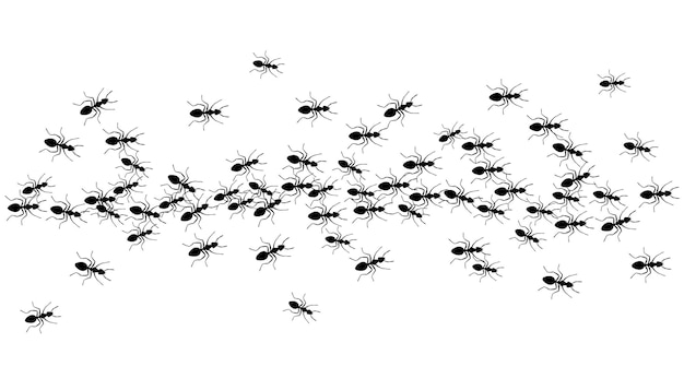 Ligne de piste de fourmis de fourmis de travail sur fond blanc Groupes d'insectes marchant ou marchant sur la route Illustration vectorielle de désinfection de contrôle de colonie d'insectes