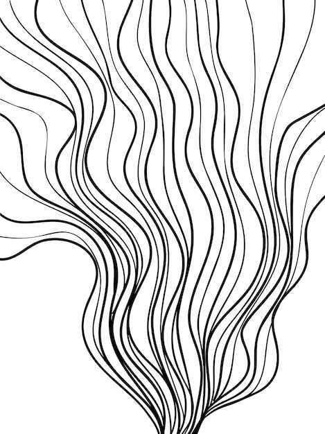 Vecteur lignes fluides abstraites de vecteur sur fond blanc