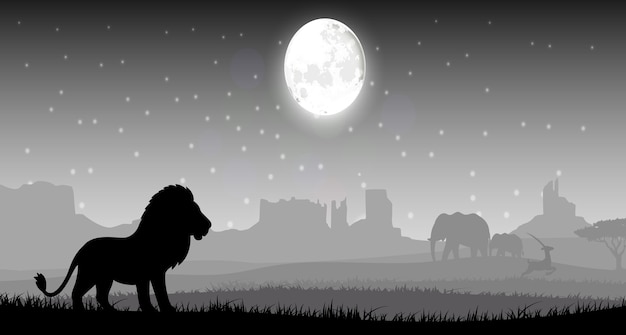 Lion dans la nuit