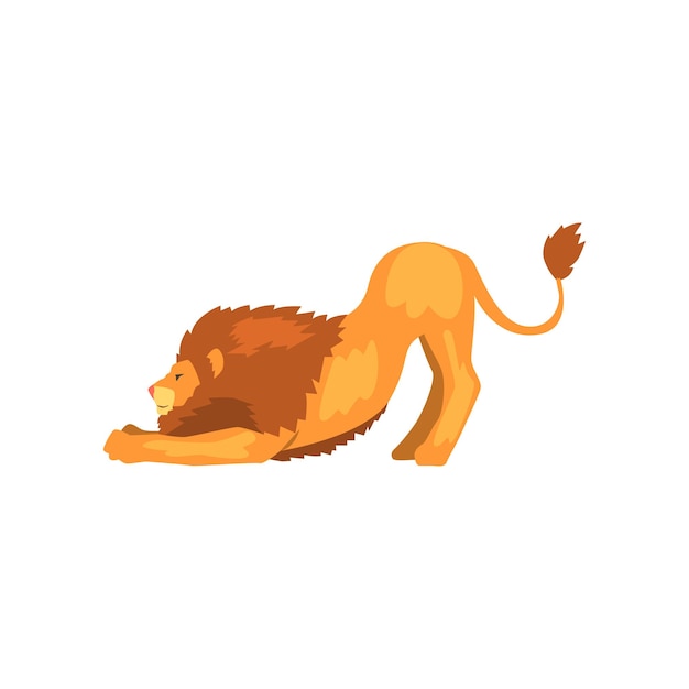 Vecteur lion puissant qui s'étend de vecteur animal prédateur sauvage illustration sur fond blanc