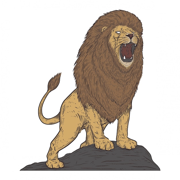 Vecteur lion en style de dessin vintage