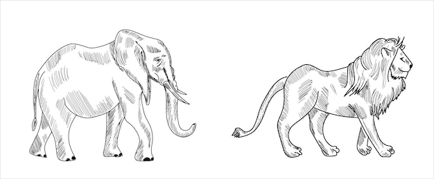 Lion, Zèbre, Rhinocéros, Girafe, Hippopotame, Croquis D'éléphant Dessin Illustration Vectorielle