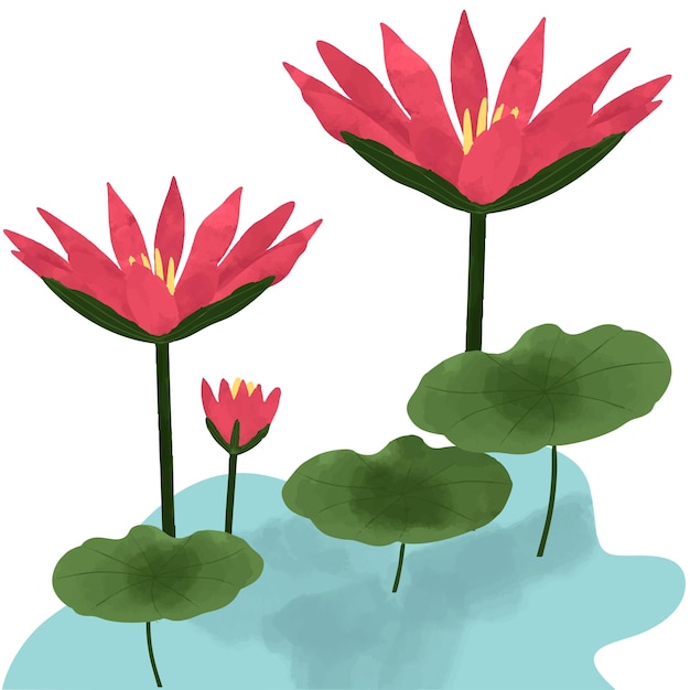 Un lis d'eau rose en fleurs d'aquarelle debout sur une tige verte