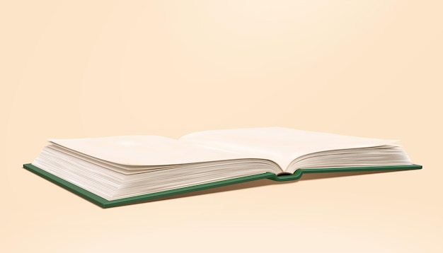 Livre blanc ouvert en 3D