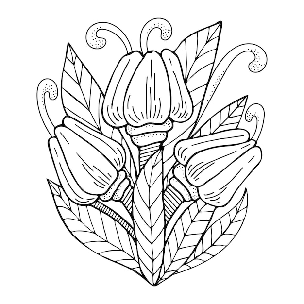 Livre de coloriage bouquet de tulipes Fleurs de jardin avec des feuilles Illustration de doodle dessinés à la main