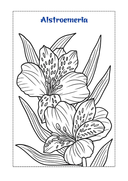 Livre De Coloriage Fleur