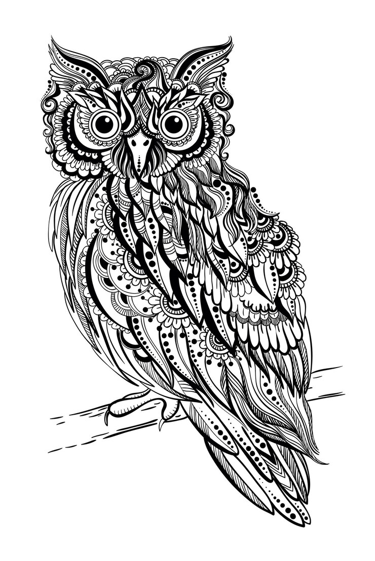 Vecteur livre de coloriage oiseau hibou. illustration anti-stress. coloriage pour adulte en style zentangle.