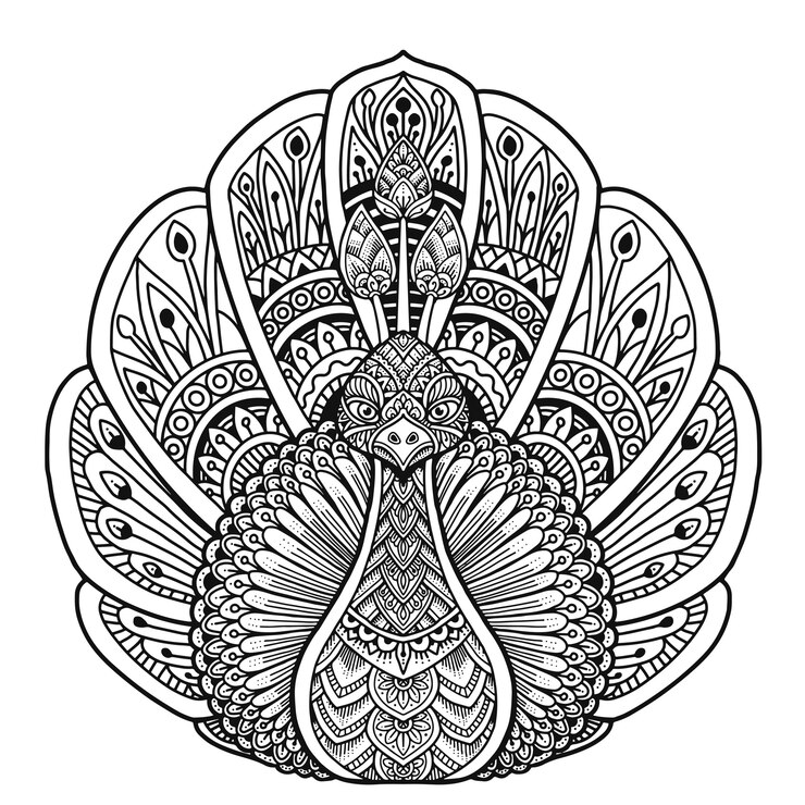 Livre de coloriage de paon Mandala Design