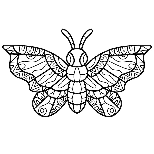 Livre De Coloriage Papillon Mandala Isolé Sur Fond Blanc