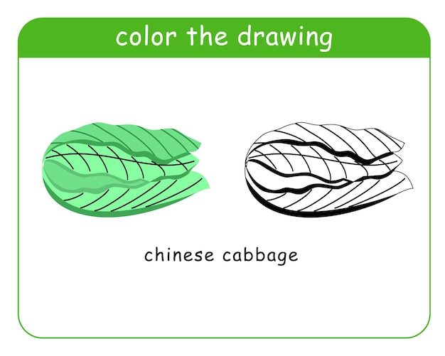 Vecteur livre de coloriage pour enfants chou chinois en couleur et noir et blanc