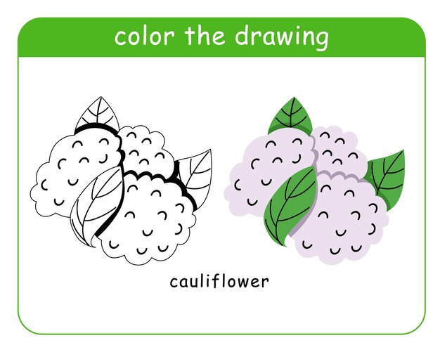 Vecteur livre de coloriage pour enfants chou-fleur en couleur et noir et blanc