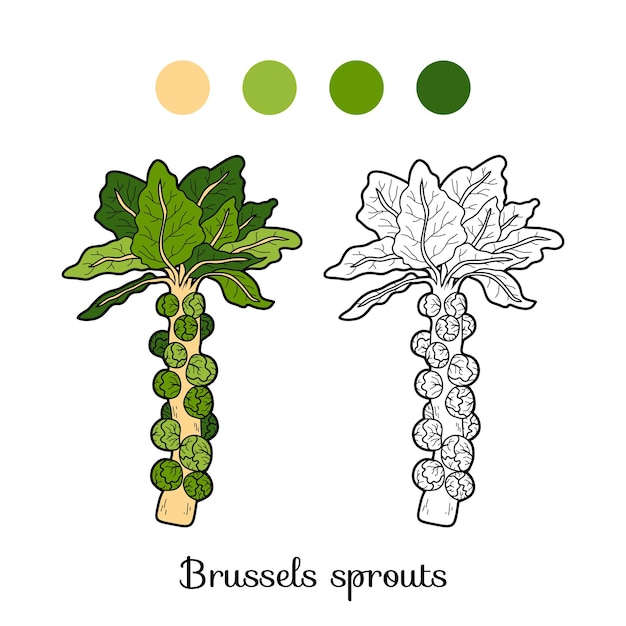 Livre De Coloriage Pour Enfants, Légumes, Choux De Bruxelles