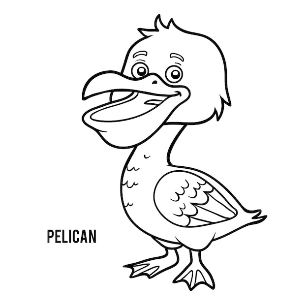 Livre De Coloriage Pour Les Enfants, Pelican