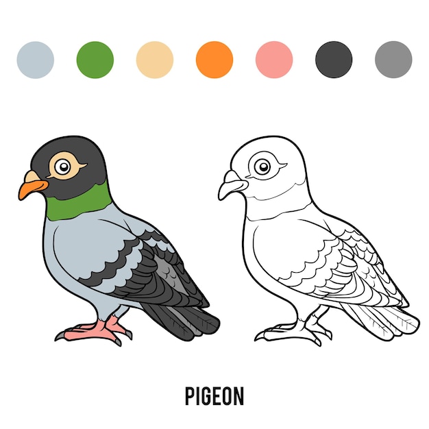 Livre De Coloriage Pour Les Enfants, Pigeon