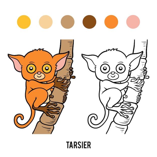 Livre De Coloriage Pour Enfants, Tarsier