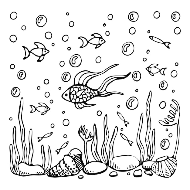 Livre de coloriage récif corallien Poissons pierres algues fonds marins coquillages Dessin au trait vectoriel dessiné à la main Page de coloriage pour enfants et adultes