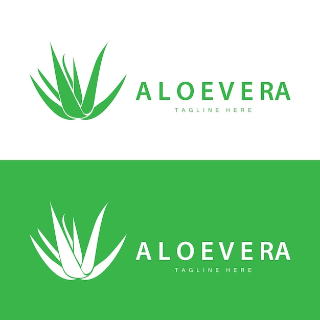 Vecteur logo de l'aloe vera conception cosmétique simple symbole de santé végétale vert illustration vectorielle