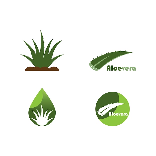 Vecteur logo aloevera