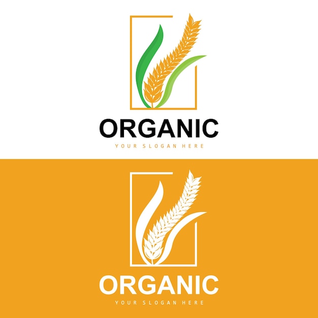 Logo Blé Riz Plantes Organiques Agricoles Vector Design Luxe Avec Des Ingrédients Boulangerie