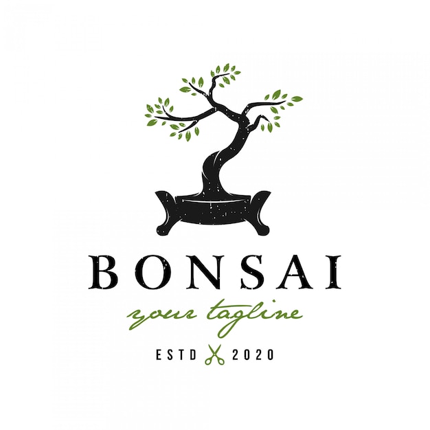 Vecteur logo de bonsaï de style rétro vintage premium
