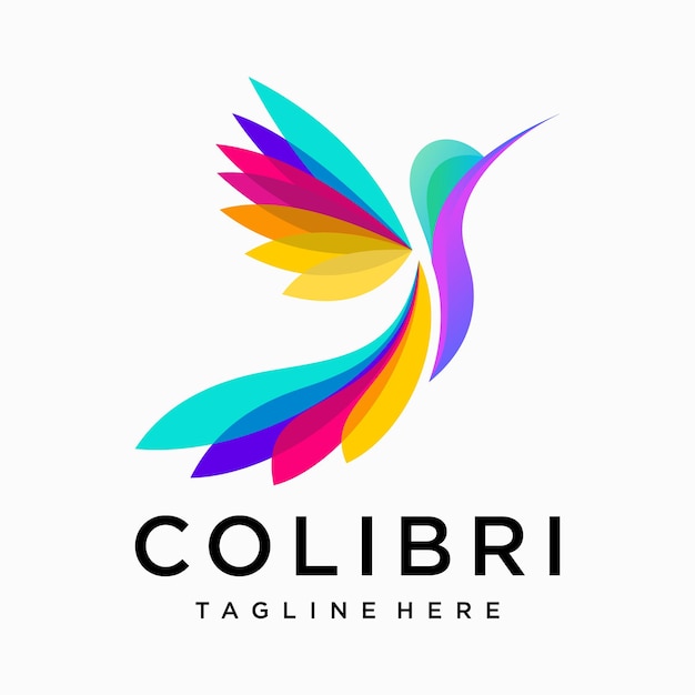 Vecteur logo colibri