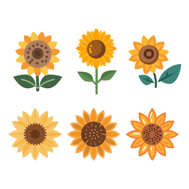 Logo De La Collection De Tournesols Symbole De Dessins Modernes Pour Les Affaires