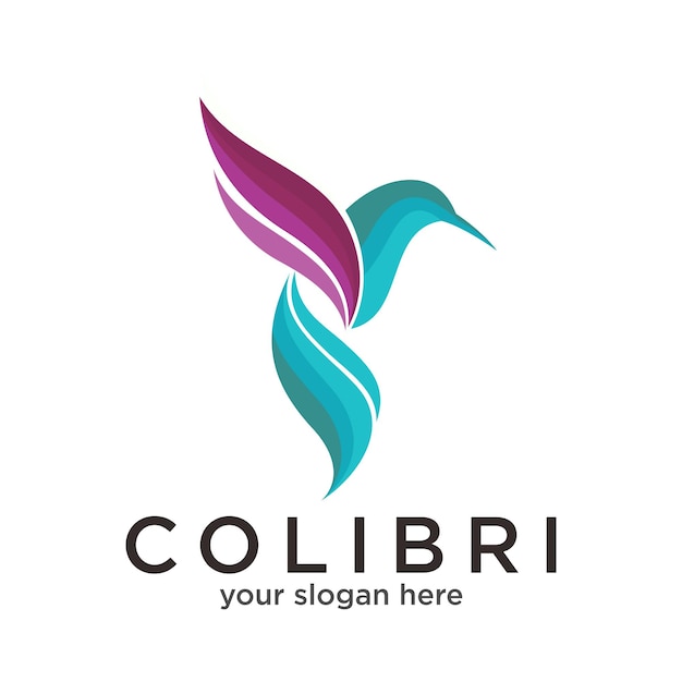 Logo Coloré Colibri