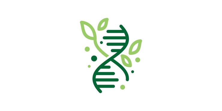Vecteur logo combinaison d'illustrations de formes génétiques avec des feuilles icônes vecteurs symboles